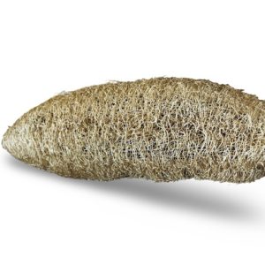Plant based Loofah